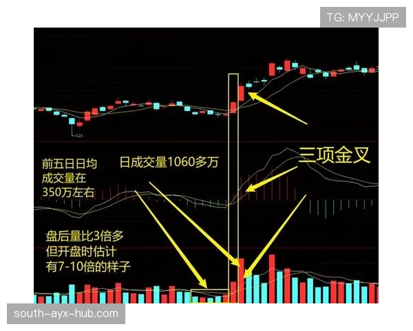 从根本规则到具体判定,一文讲透打手犯规的争议点与正确判罚标准 从根本规则到具体判定,一文讲透打手犯规的争议点与正确判罚标准